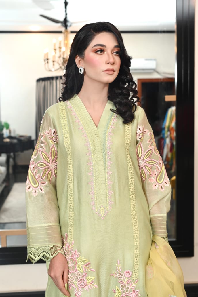 Meera Atiyairfan.com